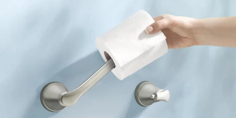 How to Remove A Moen Toilet Paper Holder from Wall