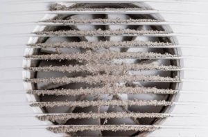 dirty bathroom fan blades and cover